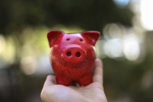 Close up of human hand holding a red and black speckled piggy bank
