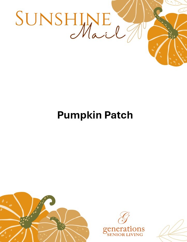 Pumpkin Patch Pumpkin Patch