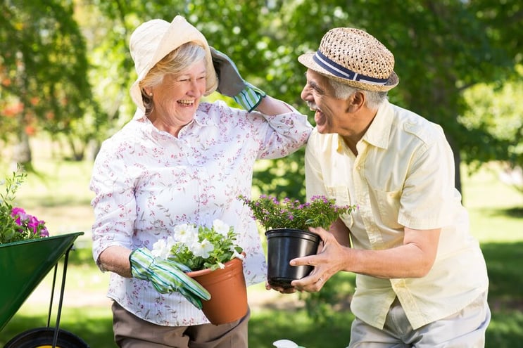 Senior man and woman gardening