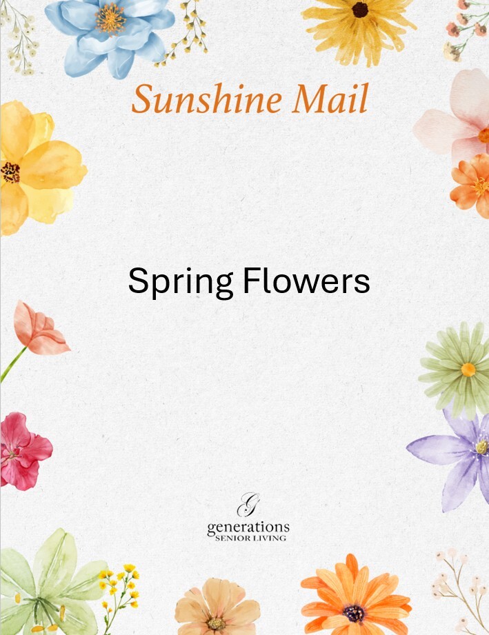 Spring Flowers Spring Flowers