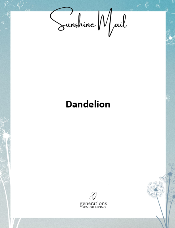 Dandelion Letter Stationery