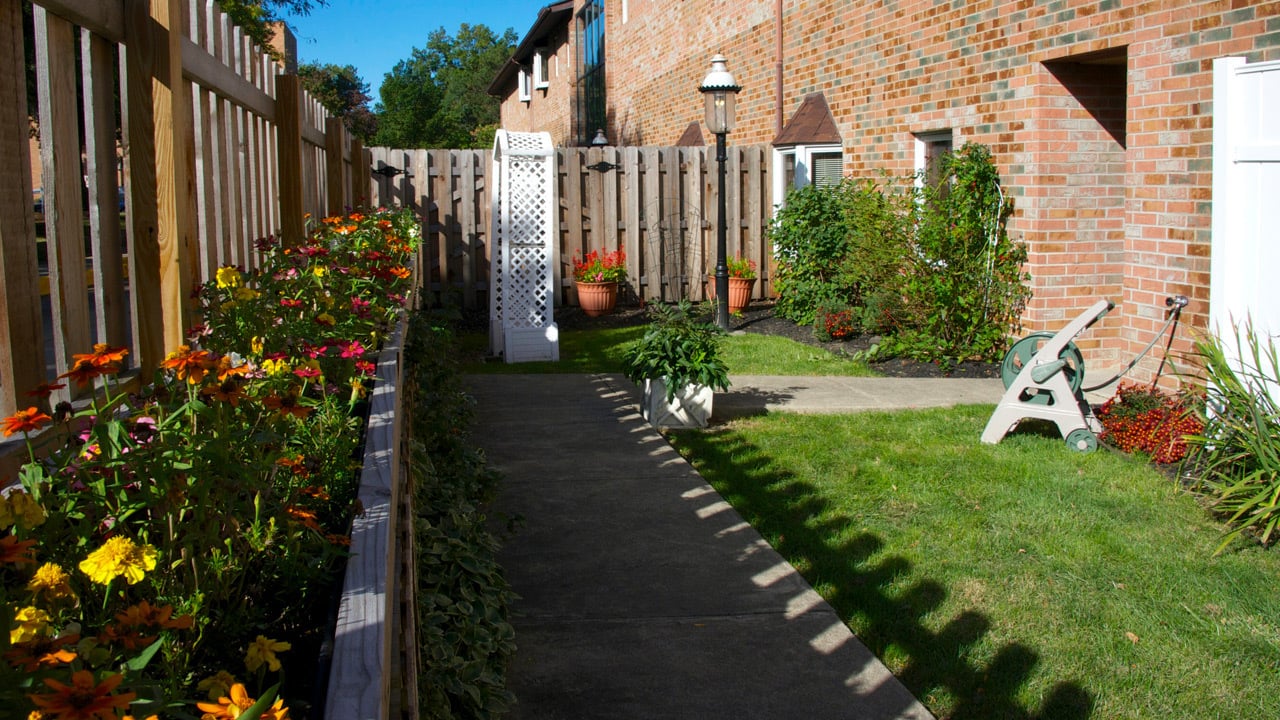 Gorgeous flower & vegetable garden